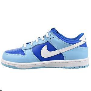 Nike (PS) NIKE DUNK LOW RETRO QS 'ARGON' SKU: DV2635 400